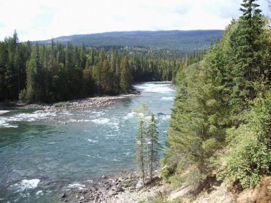 Am Clearwater River
