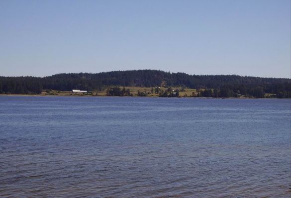 Tag_19_08.jpg