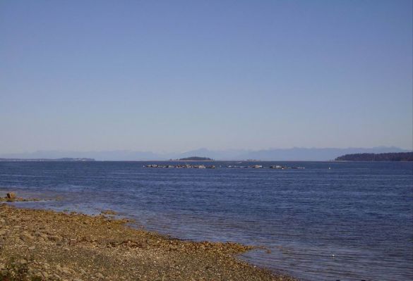 Tag_19_09.jpg