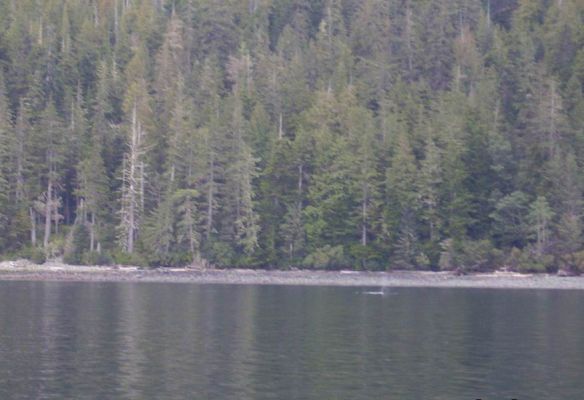 Tag_21_09.jpg
