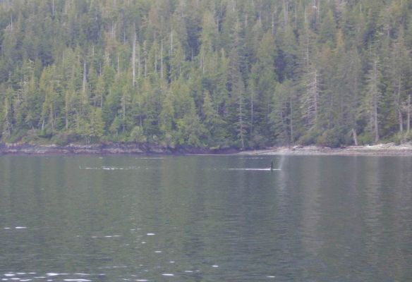 Tag_21_12.jpg