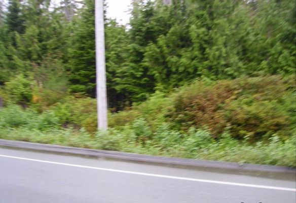 Tag_22_08.jpg
