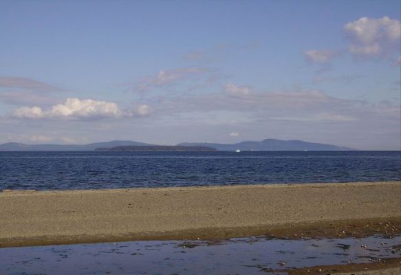 Tag_23_12.jpg