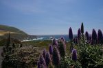IMG_3442.JPG