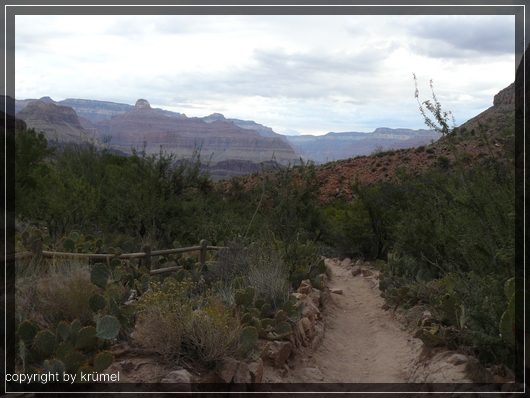 comp_05_Trail1~0.jpg