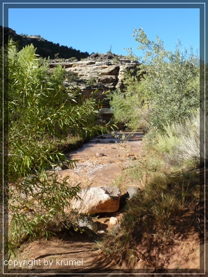 comp_06_Freemont_River.jpg