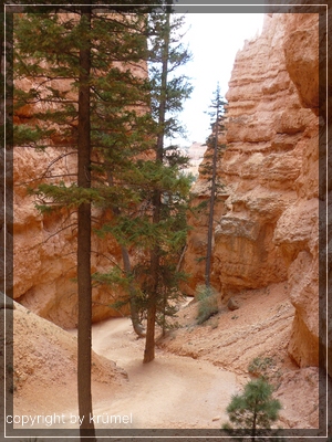 comp_24_navajo_loop_trail.jpg