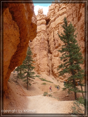 comp_25_navajo_loop_trail.jpg