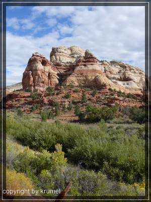 comp_34_landschaft_calf_creek_falls_trail1.jpg