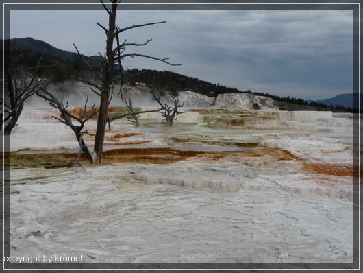 comp_Mammoth_Hot_Spring_Canary_Spring_(4).jpg