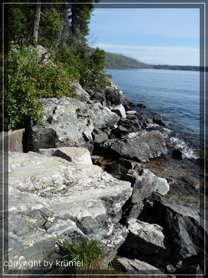 comp_Tag4_Jenny_Lake_(7).jpg