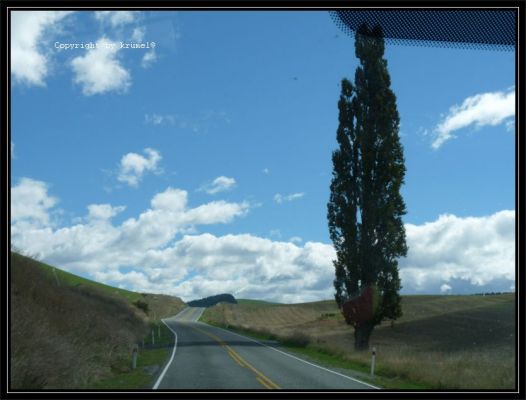 Fahrt_nach_lake_tekapo_(3).jpg
