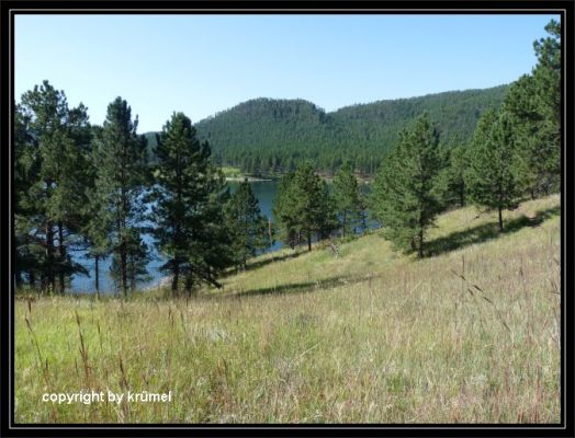 Tag_11_Osprey_Trail.jpg