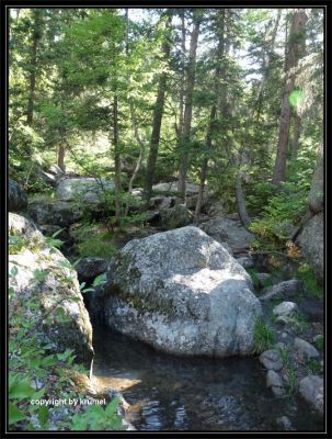 Tag_12_Landschaft_am_Trail_(4).jpg