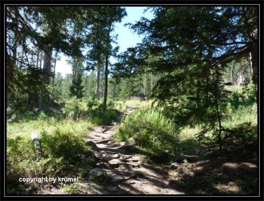 Tag_12_Landschaft_am_Trail_(9).jpg