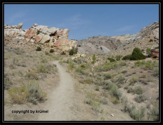 Tag_18_Dinosaur_Trail_1.jpg