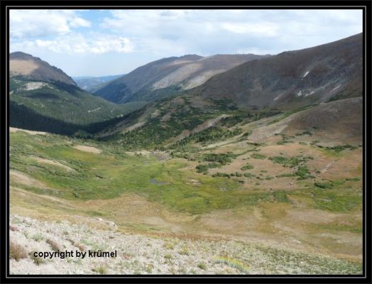 Tag_19_Old_River_Way_Alpine_Pass.jpg