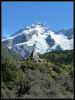 Hooker_Valley_TRack_(4).jpg