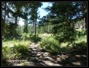 Tag_12_Landschaft_am_Trail_(9).jpg