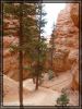 comp_24_navajo_loop_trail1.jpg