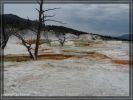 comp_Mammoth_Hot_Spring_Canary_Spring_(4).jpg