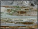 comp_Mammoth_Hot_Spring_Canary_Spring_(5).jpg
