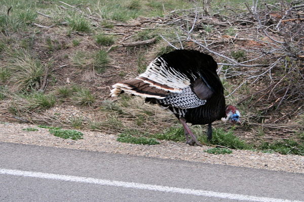 Tag09_01.JPG