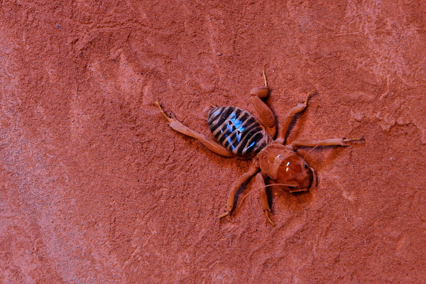 Tag19_09.JPG