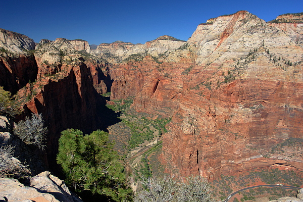 Zion_AngelsLanding2_klein.JPG