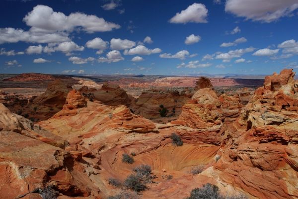 Cottonwood Teepees
In den Coyote Buttes South mit Blick auf die North und South Teepees im Hintergrund.
