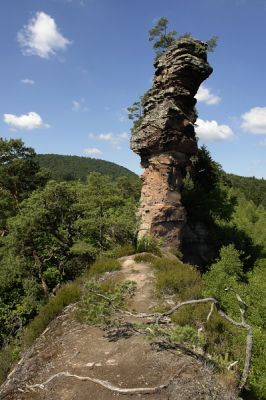 Felsenpfad.JPG