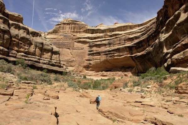 Sheiks-Bullet_12_GrandGulch1.JPG