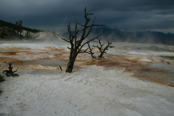 Yellowstone National Park
