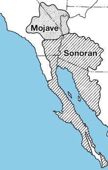 220px-Mojave-sonoran_deserts.png