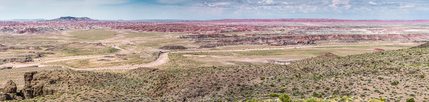 IMG_3051_Petrified_Pano.jpg