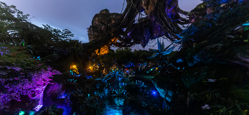 _MG_4679-Pano.jpg