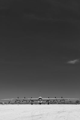 IMG_1555.jpg
