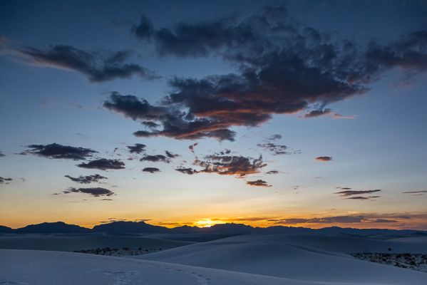 IMG_1949.jpg