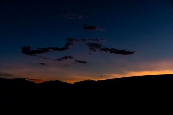 IMG_2017.jpg
