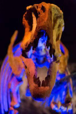 IMG_2124.jpg