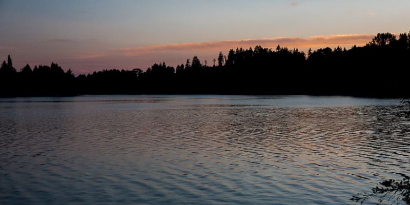 IMG_2329.jpg