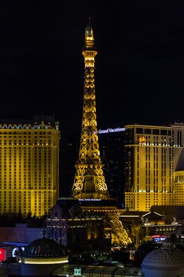 IMG_2383.jpg