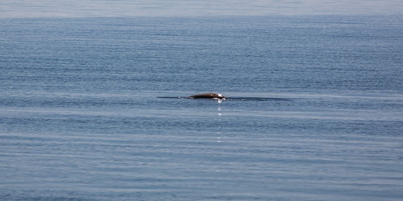 IMG_2612.jpg