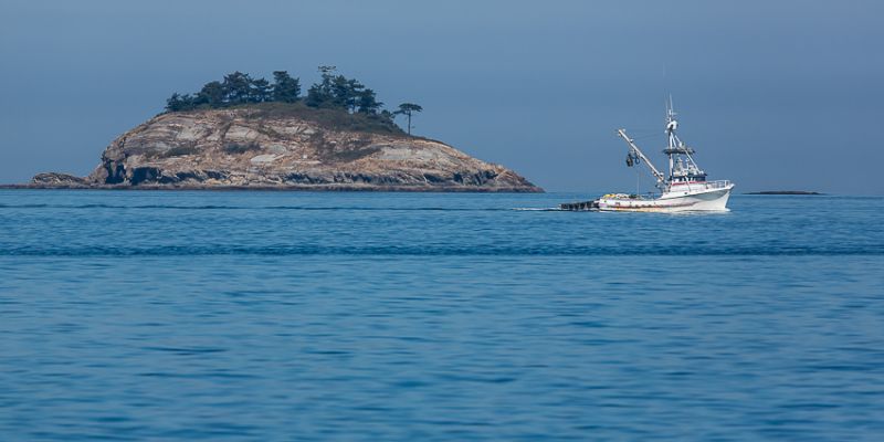 IMG_2656.jpg
