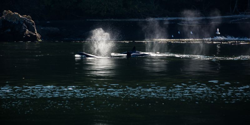 IMG_2980.jpg