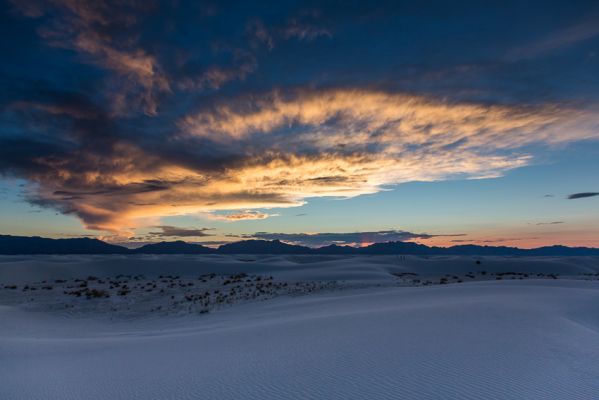 IMG_3502.jpg