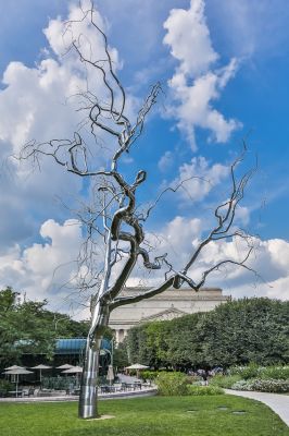 IMG_3529~0.jpg