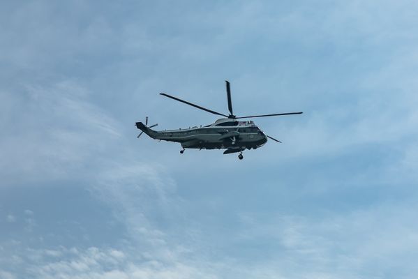 IMG_3595.jpg