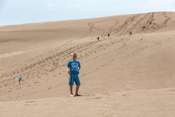 IMG_3795.jpg