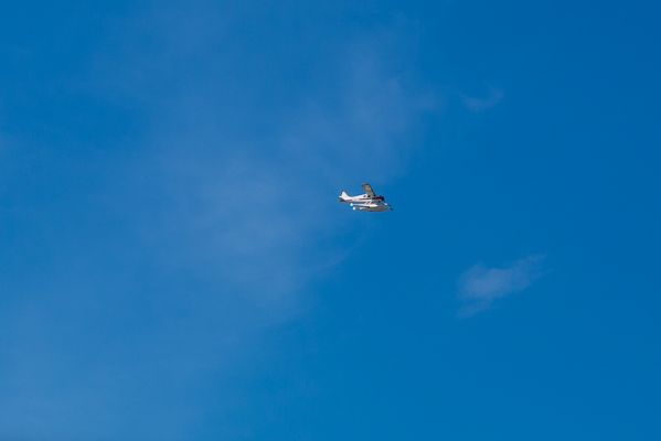 IMG_3797.jpg